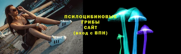 кокс Алексин