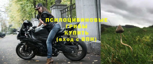 кокс Алексин