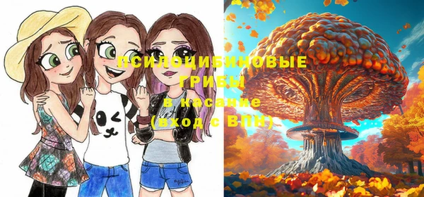 Альфа ПВП Алексеевка